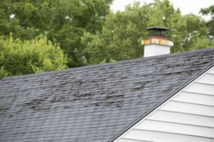 asphalt shingles have a noticable environmental impact when not disposed of properly