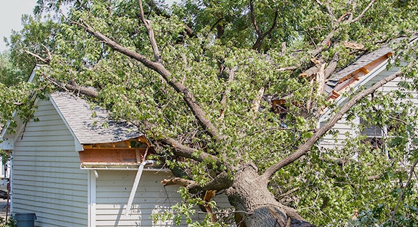 roof damage insurance claim