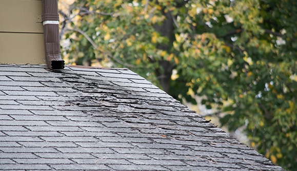 roofing experts in Granule Loss