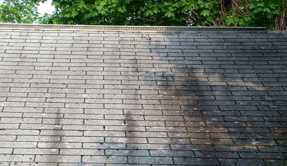 roofing experts in Algae Stains