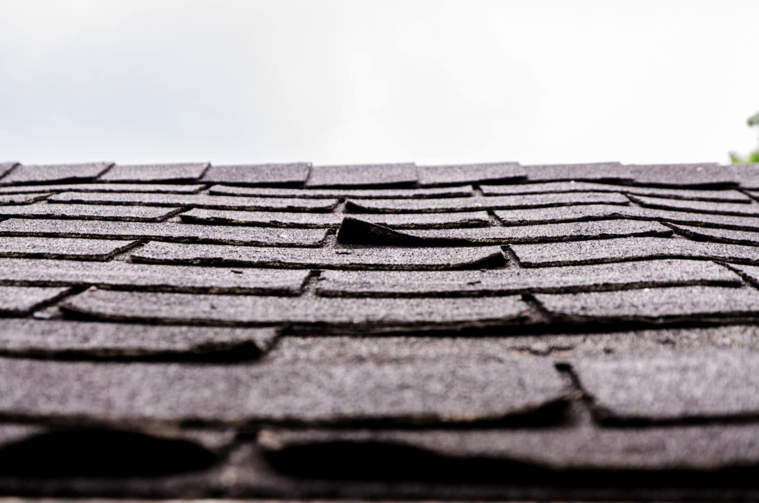 What Curling and Buckling Shingles Mean for Your Roof - The Roof Guys