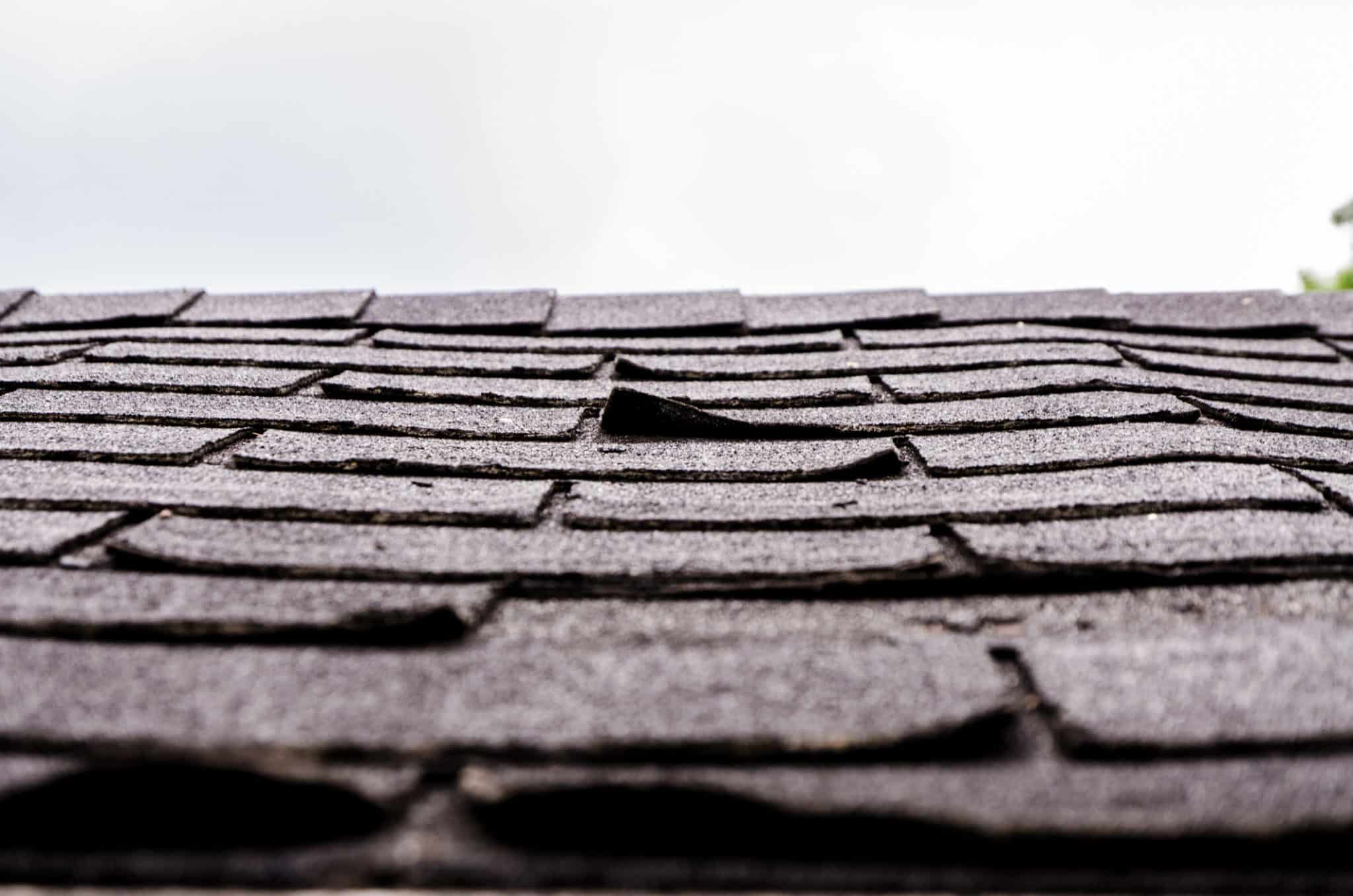 What Curling and Buckling Shingles Mean for Your Roof The Roof Guys