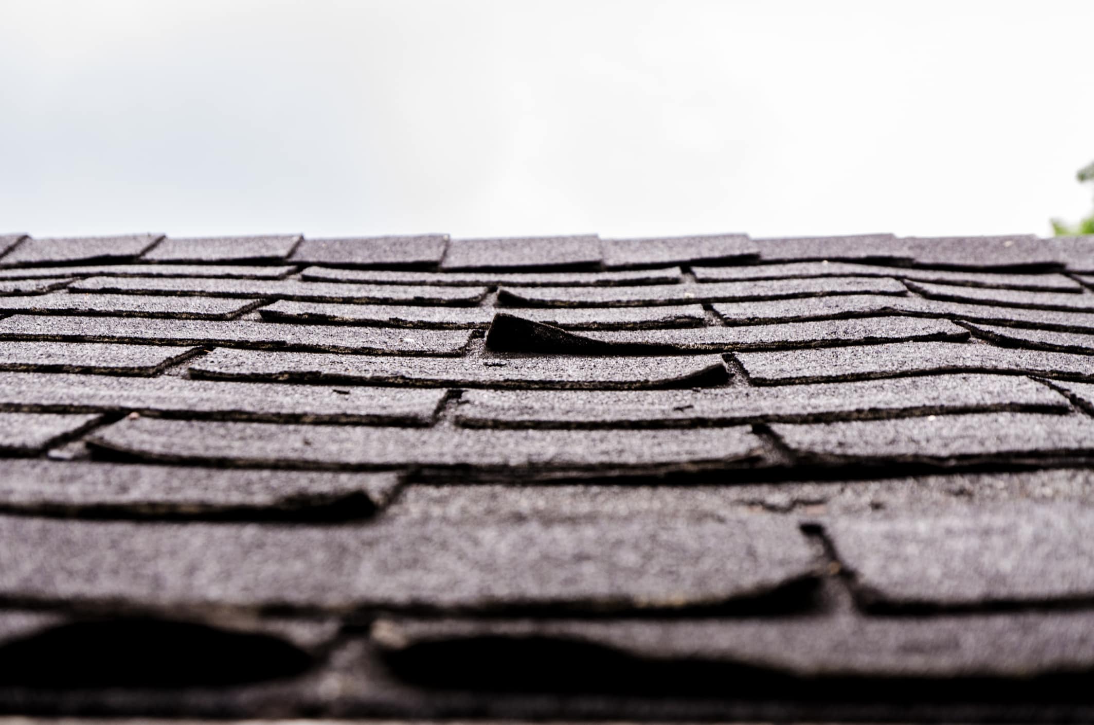 Shingles Curling - The Roof Guys Florida