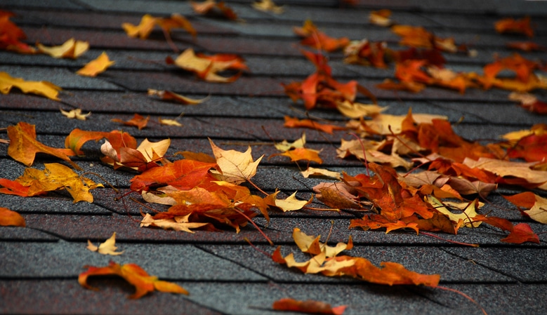 the roof guys can help with common fall roofing problems