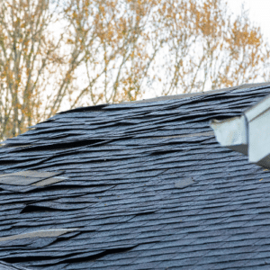 roof damage insurance roof inspections