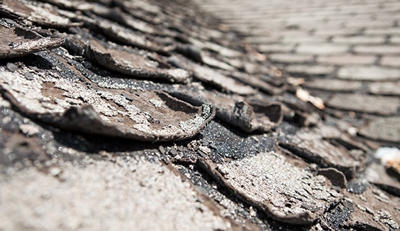 Roof Shingle Blisters