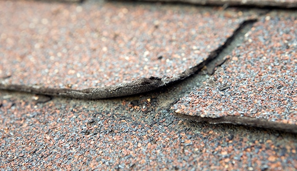 Roof Shingle Curling