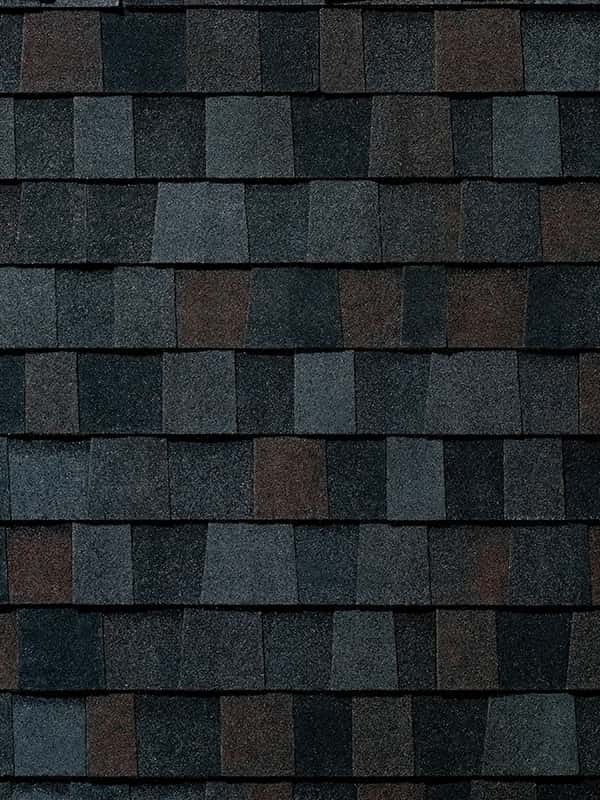Black Walnut