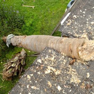 storm damage insurance claims